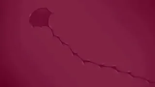 Joyful furry porn 4: visitors chiefly the beach